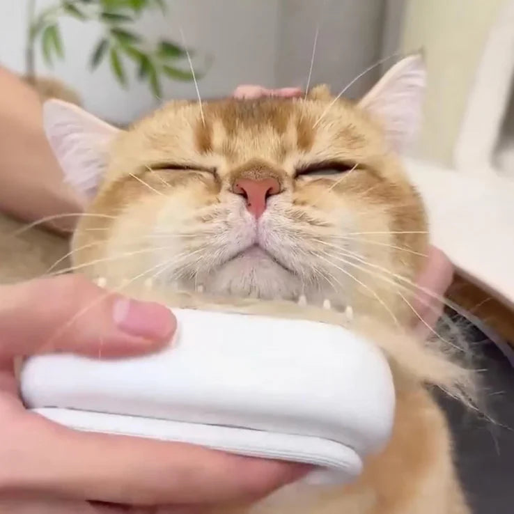 CEPILLO A VAPOR PARA MASCOTAS